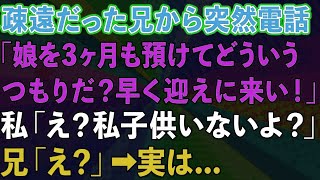 【スカッとする話】疎遠だった兄から突然連絡「3ヶ月も娘を預けてどういうつもりだ？早く迎えに来い！」私「独身だし子供もいないよ？」兄「え？」→実は [upl. by Tepper350]