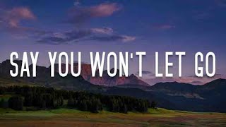 Say You Wont Let Go Before You Go Tattoo Lyrics James Arthur Lewis Capaldi Loreen [upl. by Yerfej]