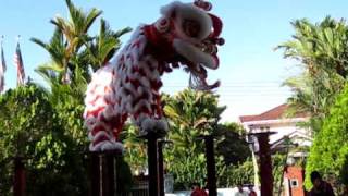 Lion Dance Kota Kinabalu CNY 2010 [upl. by Adur]