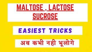 Maltose Lactose Sucrose Tricks  Biomolecules Tricks [upl. by Demeter]