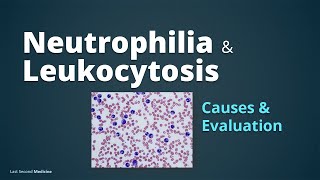 Neutrophilia amp Leukocytosis  Pathophysiology of Leukocytosis Causes amp Evaluation [upl. by Adnohsak]