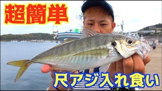 巨大アジが簡単に無限に釣れる！？調査してきた！ [upl. by Ahsaekal]