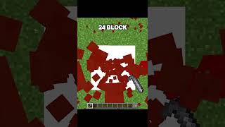 Minecraft maze pawer [upl. by Anerrol]