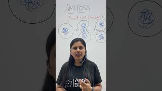 Amitosis  Direct Cell Division  Cell Cycle amp Cell Division  Class 11 Biology NEET amitosis neet [upl. by Dirk]