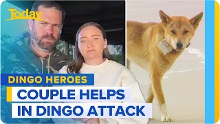 Couple risk their lives to save woman from dingo attack on K’gari  Today Show Australia [upl. by Annaul765]