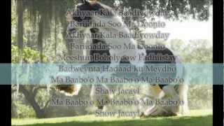 Buseel Khadra Silimo lyrics ka saxda ah [upl. by Lozar]