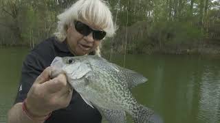 Learn to Locate Crappie at a New Lake [upl. by Atiraj]