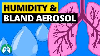 Humidity and Bland Aerosol Therapy  Simple Explanation [upl. by Katrina]