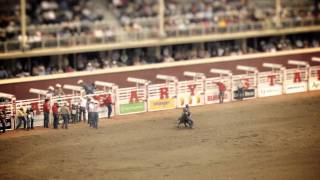 This could be your view at the Calgary Stampede Rodeo [upl. by Rudin49]