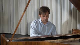 Vasily Ilisavsky plays Schubert Sonata c minor D958 [upl. by Naejarual]