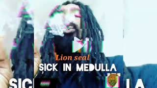 lion seal  sick in medulla lionsealrwu [upl. by Porche]