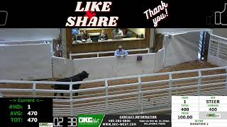 1152024 Calf amp Stocker Auction  OKC West [upl. by Omissam]