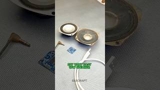 EASY DIY 10W SPEAKER 🔊shorts reels subscribe hindi [upl. by Ranna804]