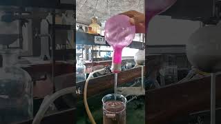 Fountain Experiment of Ammonia in Chemistry Lab  Grade 11 [upl. by Eyllek71]