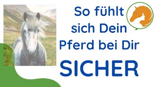 Das Pferd vor dominanten Pferden schützen [upl. by Roderick]