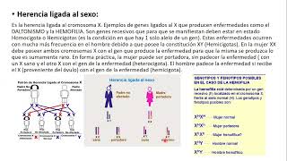 15102024  CLASE 47  BIOLOGIA  MEDICINA UNC  NOVIEMBRE 2024 [upl. by Haneekas47]