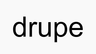 How to pronounce drupe [upl. by Ahk980]