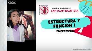 ESTRUCTURA Y FUNCION I [upl. by Seiber123]