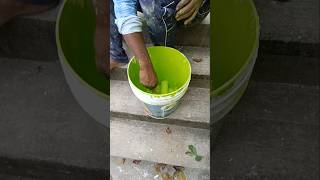 jabardast colour house painting 🏠 home colors reels viralvideo RangilaPainter [upl. by Oiludbo378]