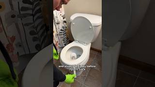 5 Toilet Cleaning Tips  Day 8 Spring Cleaning Spree 2024 cleaning clean howto [upl. by Askwith]