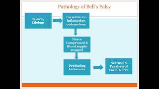 bells palsy [upl. by Uzzial]