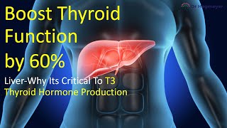 BOOST your Thyroid function by 60 Part I The Liver Thyroid Connection [upl. by Wiskind675]