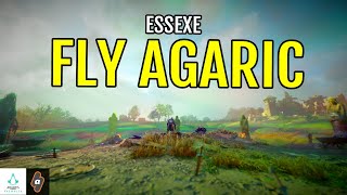 How to complete Flying Agaric World Event in Essexe  Assassins Creed Valhalla Walkthrough [upl. by Ahsienaj]