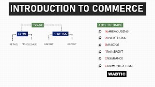 Commerce  Lesson 1  Introduction to Commerce [upl. by Hgielrebma]