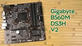 Розпаковка Gigabyte B560M DS3H V2 [upl. by Dnalyag]