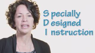 Special Education  The Basics of an Individualized Education Program IEP [upl. by Akenet195]