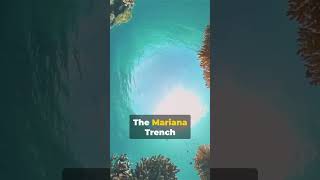 Mariana Trench The Mysterious Depths Of Our Planet Shorts [upl. by Valera]