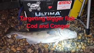 Targeting Bigger fish on Chesil Cod and Conger shorefishing fishing codfishing beach [upl. by Suneya284]