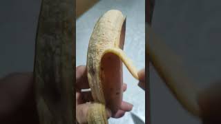 ASMR EATING RED BANANAN asmreating satisfying philippine banana viralvideo viralshorts shorts [upl. by Hart]