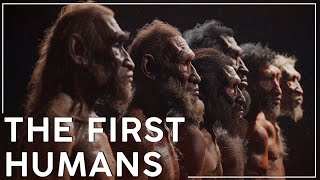 Why is The Paleolithic The Longest Era of Human History [upl. by Ativahs]