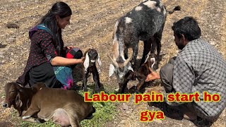 Twins ki delivery ho gae or labour pain start ho gya [upl. by Ym]