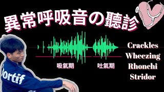 《異常呼吸音の評估》臨床音檔搭配聽診位置！Crackles、Wheezing、Stridor、Rhonchi！吸氣期吐氣期、聲音性質 [upl. by Novat]