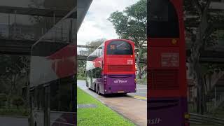 Volvo B9TL Wright Geminei 2 Batch 4 SG5366A and Scania K230UB batch 2 at bus stop in Bishan [upl. by Nagirrek]