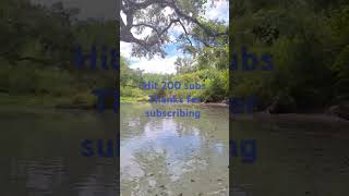 kings landing rockspringsrun kayaking nature florida [upl. by Yeleen]