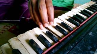 How to Play Nagin Tune on Harmonium [upl. by Eentihw]