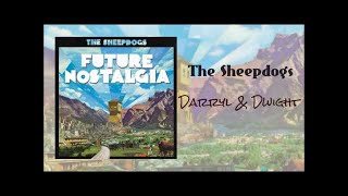 The Sheepdogs Darryl amp Dwight [upl. by Almena]