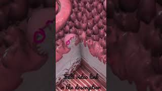 Tongue  Fungiform amp Foliate papillae Anatomy mbbs education [upl. by Nancy]