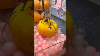 Can I Win a GOLDFISH at the Claw Machine shorts arcade clawmachine [upl. by Eisyak]