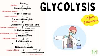 Glycolysis  Made easy in just 5 min  Biochemistry  Medinare [upl. by Aerdnaed]