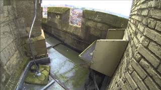 Hawk and Owl Trust Urban Peregrines Project Norwich Cathedral [upl. by Tice483]