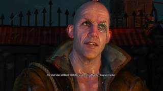 Witcher 3 Dont help Roche Thaler amp Ves vs Dijkstra Reason of State  Wild Hunt [upl. by Ninehc]