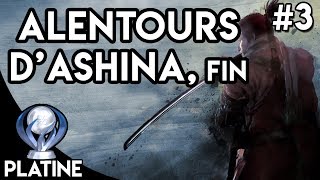 Sekiro  Guide Platine 3 ► Alentours dAshina amp Gyobu [upl. by Vina]