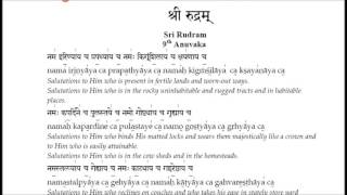 SRI RUDRAM 9th Anuvaka  STRICTLY NOT FOR LEARNINGWHATSAPP NUMBER IN DESCRIPTIONS TO LEARN [upl. by Alix]