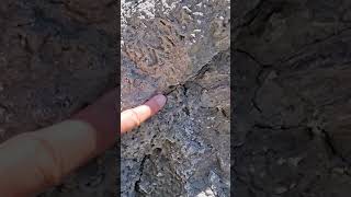 Putting My Finger On A Plate Boundary earthquakefault geology [upl. by Winny]