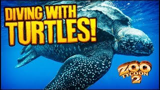 Zoo Tycoon 2 The Aquarium  LEATHERBACK TURTLE EXHIBIT Aquarium Part 2 [upl. by Nalon]