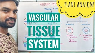 Vascular Tissue System  Plant Anatomy  V Senthilnathan [upl. by Ebenezer]